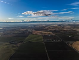 27023226