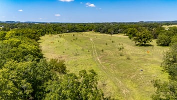 27033389