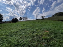 27035942