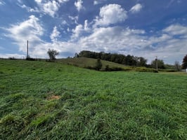 27035945