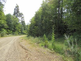 27035950