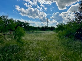 27038557
