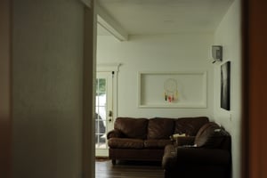 27042810