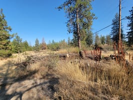27078544