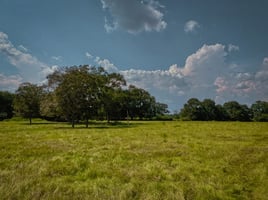 28739844