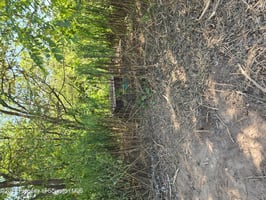 27069685