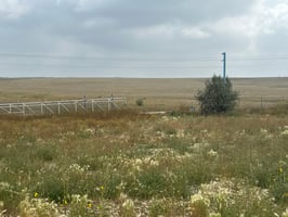 27077681