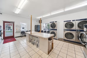 27079558