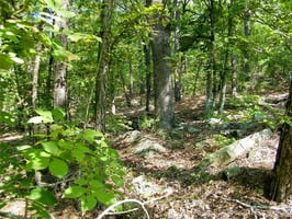 27877311