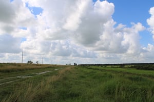27132647