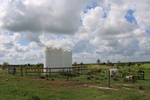 27135066