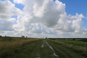 27132648