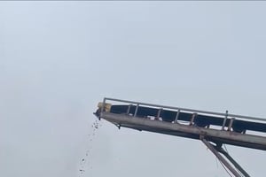 27132989