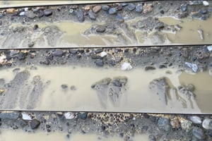 27132982