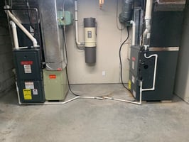 32163228