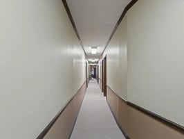 28925747