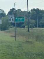 27169217