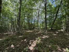 28276742