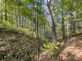 27182960