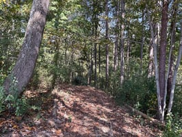 27183197