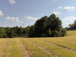 27183219