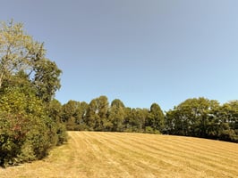 27183210