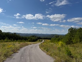 27281467