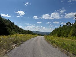 27281466