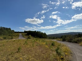 27281461