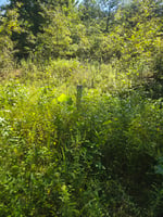 27192668