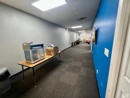 27191303