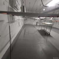 27202545