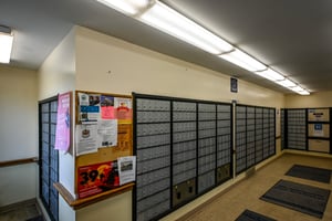 27208645