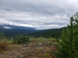 27252894