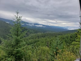 27252889