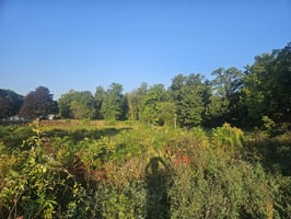 27253454