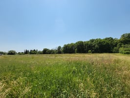 27780161