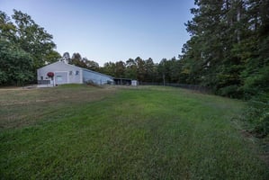 29613807