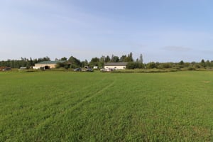 27264577