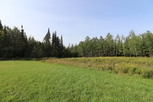 27264575