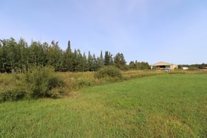 27264549