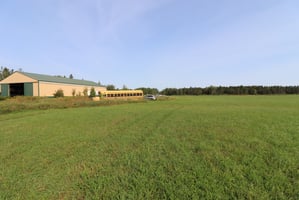 27264552