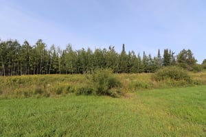 27264548