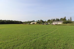 27264606