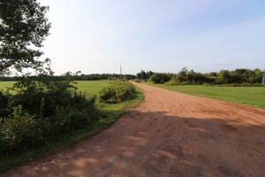 27264565