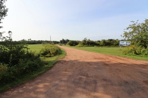 27264574