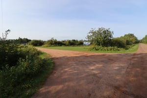 27264566