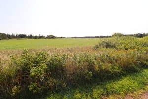 27264567