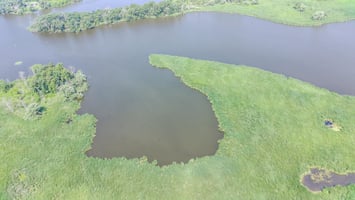 27269854