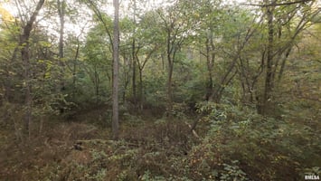 27272640